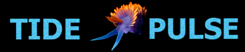 Tidepulse